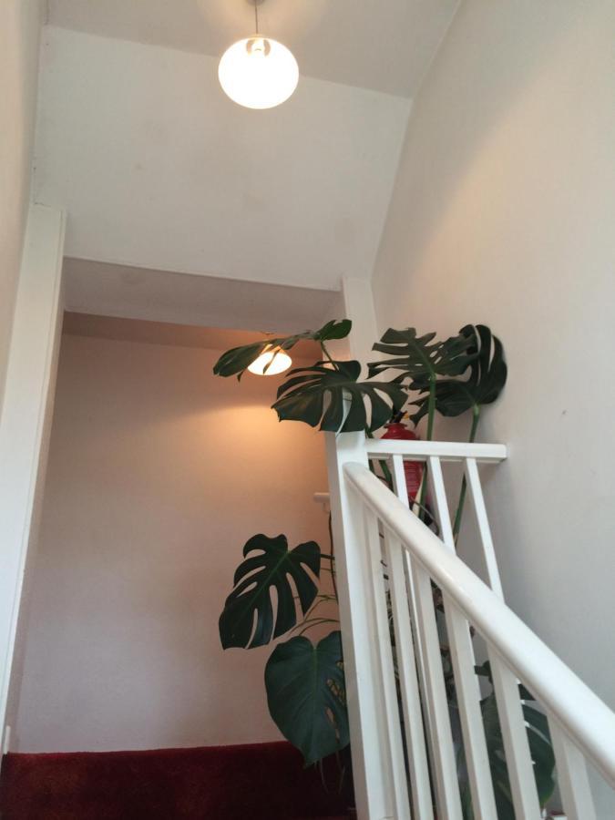 Fern Cottage Дорчестър Екстериор снимка